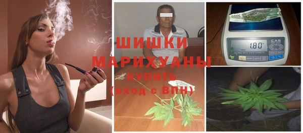 ГАЛЛЮЦИНОГЕННЫЕ ГРИБЫ Волосово