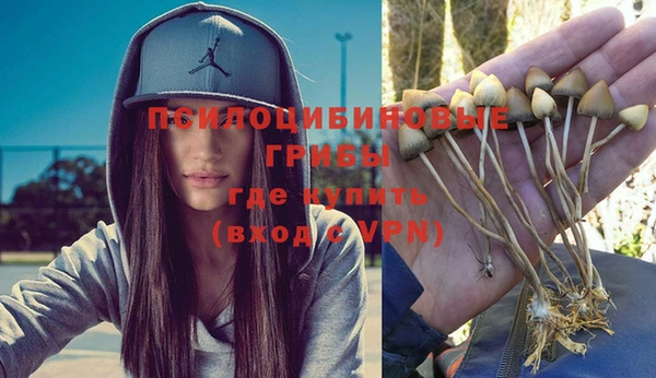 гидра Волоколамск