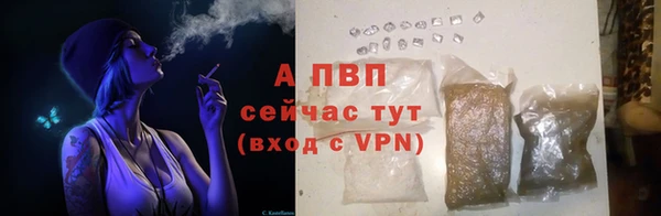 ГАЛЛЮЦИНОГЕННЫЕ ГРИБЫ Волосово